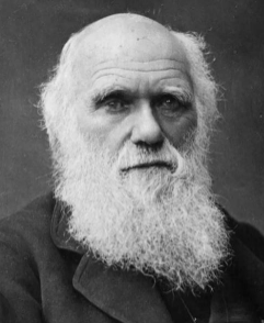 15泰州2.jpg 15泰州2.jpg